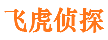 湟中私家侦探公司